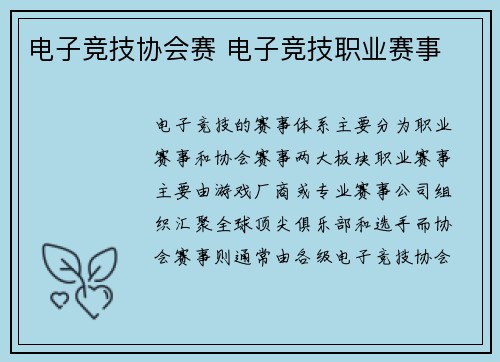 电子竞技协会赛 电子竞技职业赛事