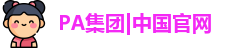 PA集团|中国官网